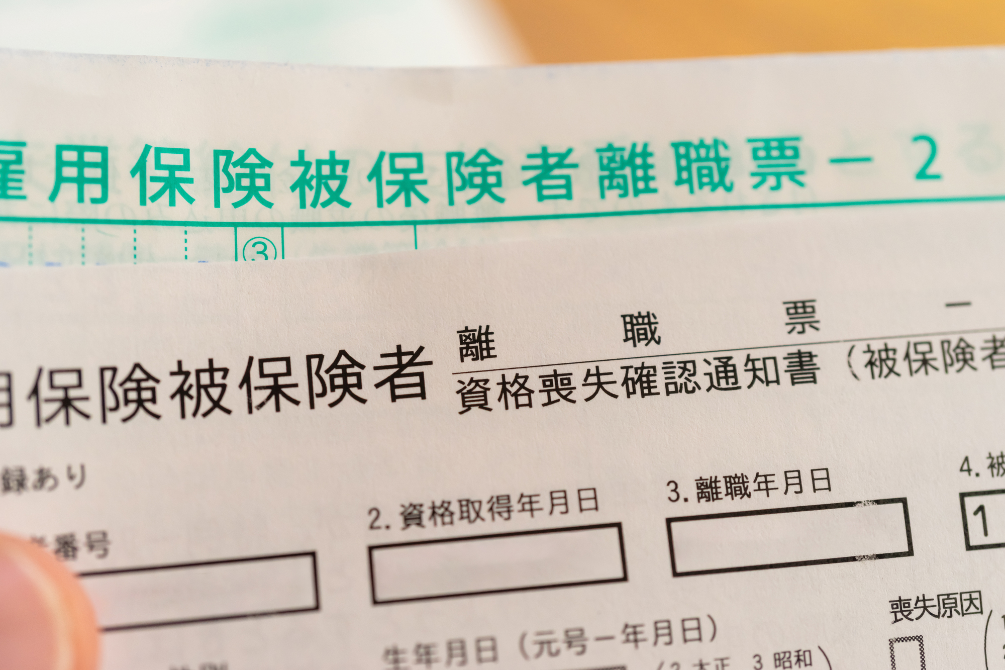 雇用保険被保険者証と離職票