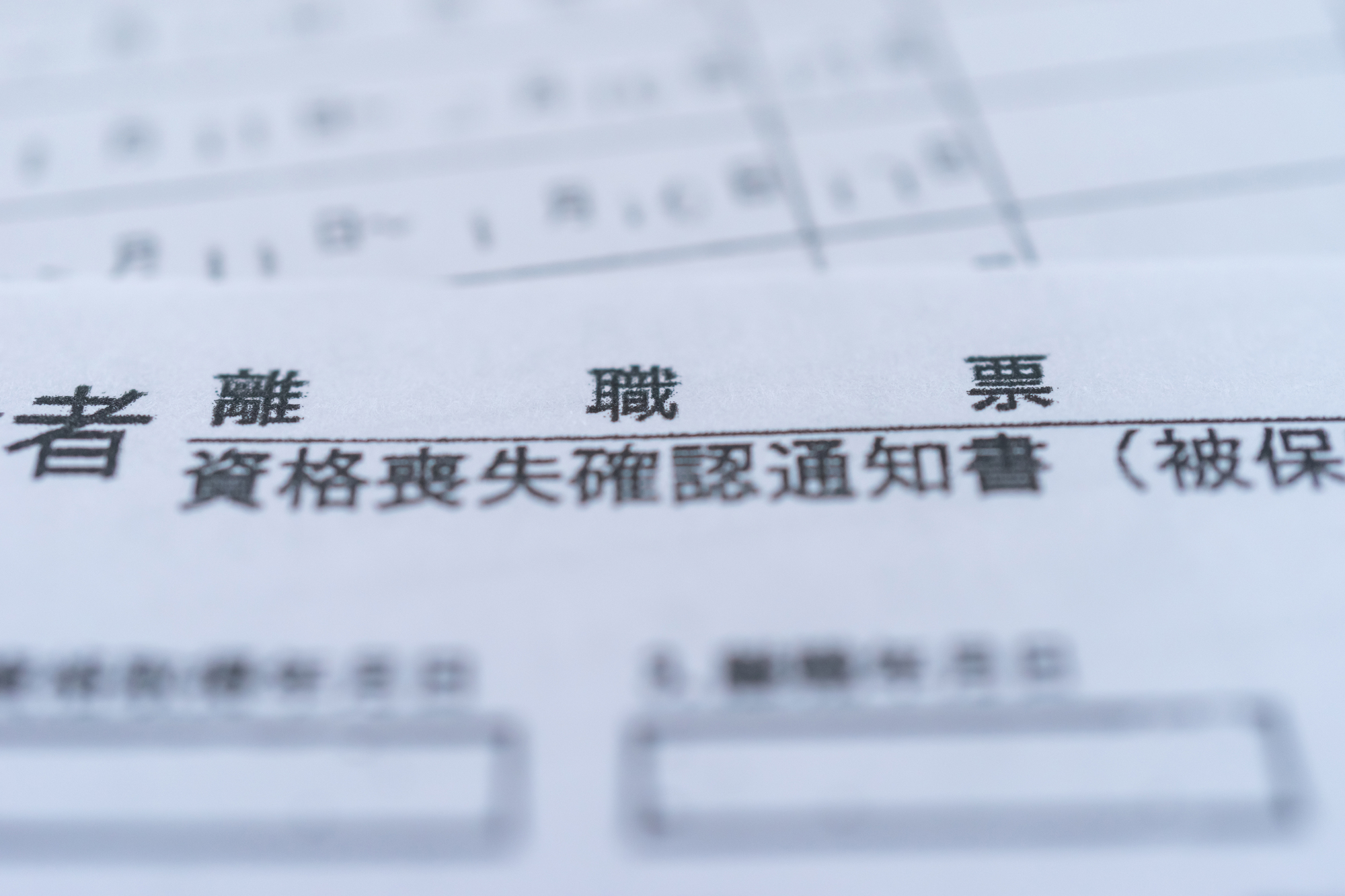 雇用保険被保険者資格喪失確認通知書