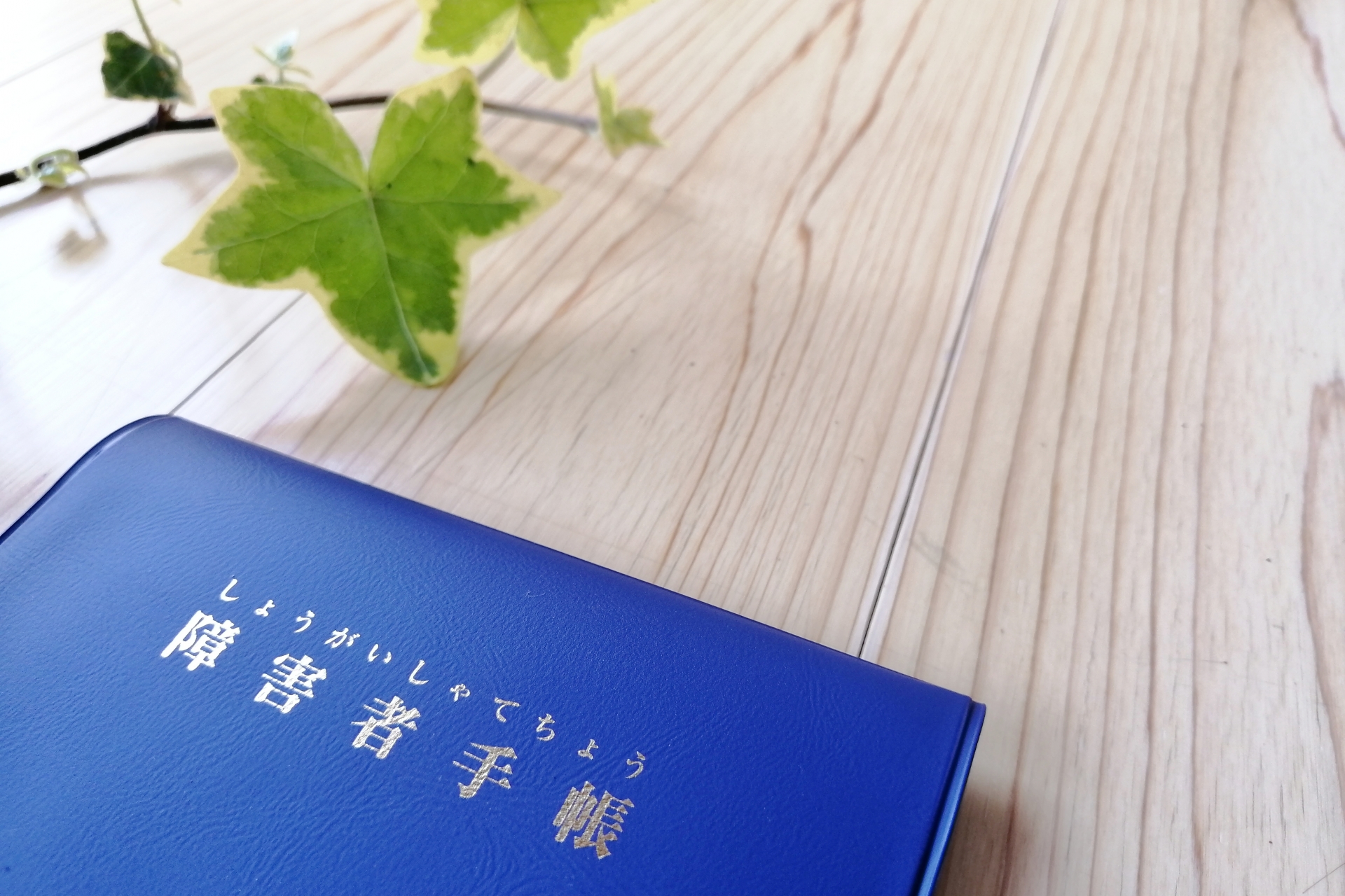 精神障害者保健福祉手帳の取得と仕事での活用方法